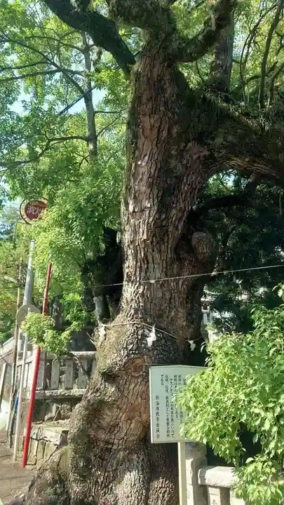 湯前神社(静岡県)