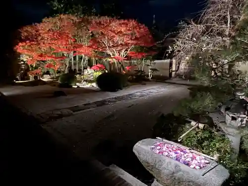 妙顯寺（妙顕寺）(京都府)