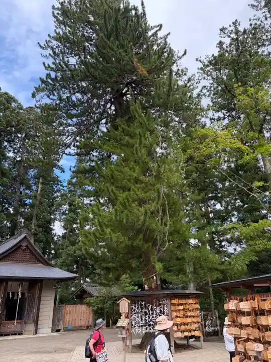 大崎八幡宮(宮城県)