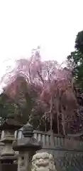 神峰神社の建物その他