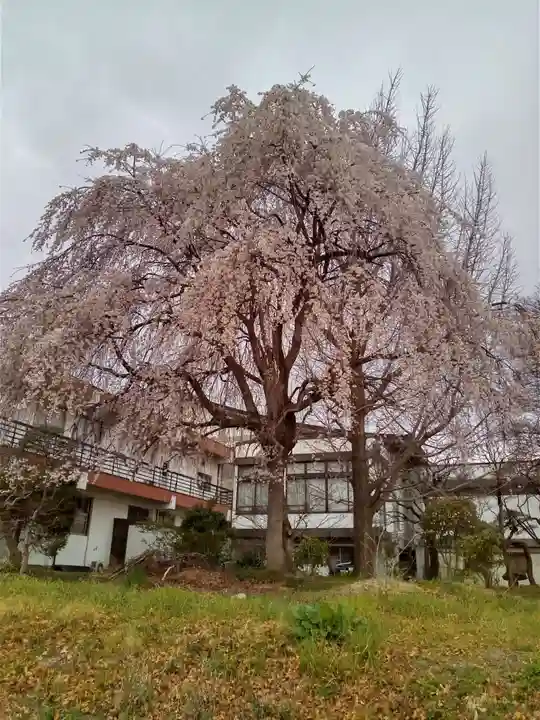 大安寺(宮城県)