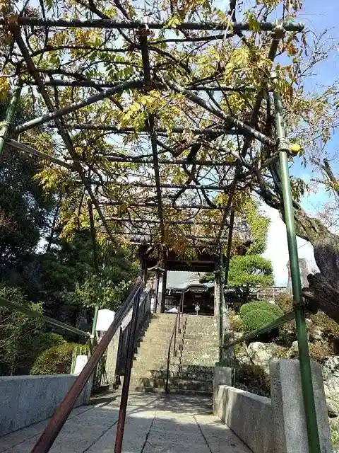 清宝院の山門・神門