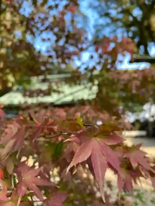 志賀海神社の自然