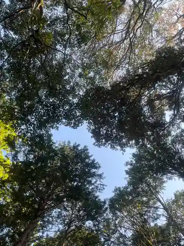 眞名井神社（籠神社奥宮）(京都府)