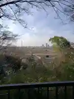 矢切神社の景色