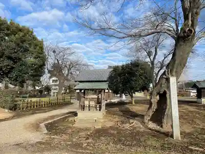 下野薬師寺 (旧 安國寺)(栃木県)