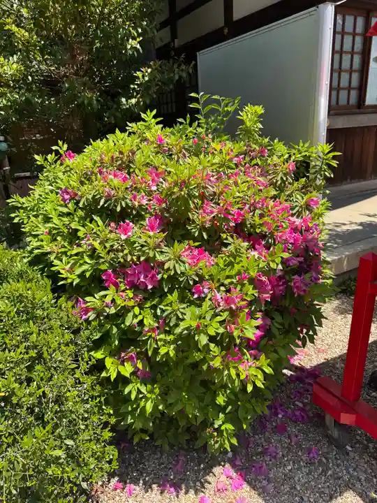 三輪神社(愛知県)