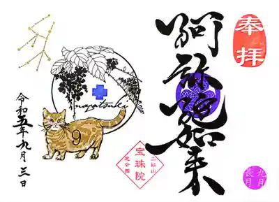 見開き月替わり御朱印は「マンチカンとデュランタ（ハリマツリ）」。
星座はおとめ座♍です。
マンチカンは脚が短いかわいいニャンコですね(=^・^=)

１年続いた植物のフレームに動物＆星座シリーズは今月で終わり。
来月から「NEO JAPANESE」シリーズとか。
どんなデザインなのか楽しみです😊