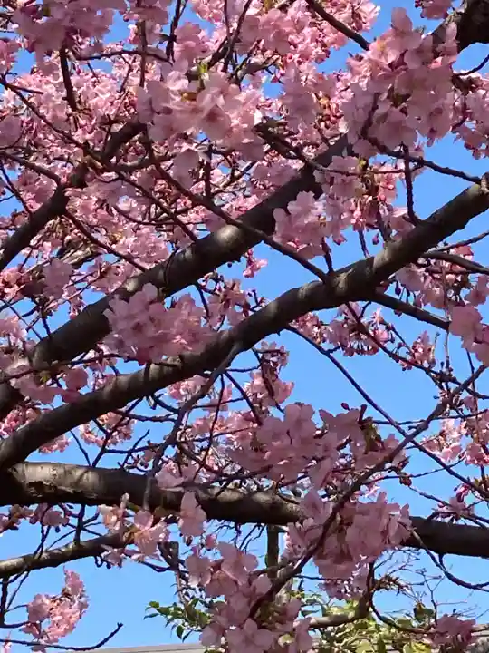 善福寺(神奈川県)