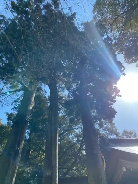 多度大社(三重県)