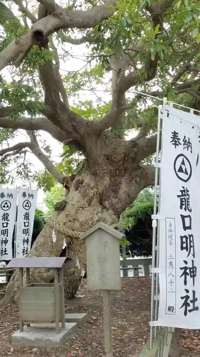 龍口明神社の自然