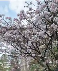 御香宮神社(京都府)