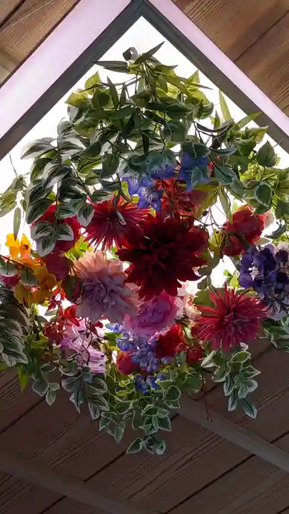 隨心院(随心院)(京都府)