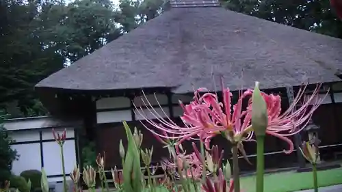 横浜　西方寺のその他建物