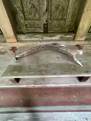 洞寿院(滋賀県)