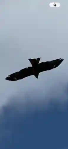 余市神社(北海道)