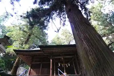 鹿島大神宮の本殿・本堂