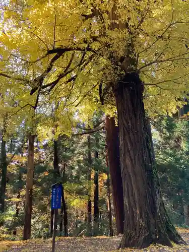 国上寺(新潟県)