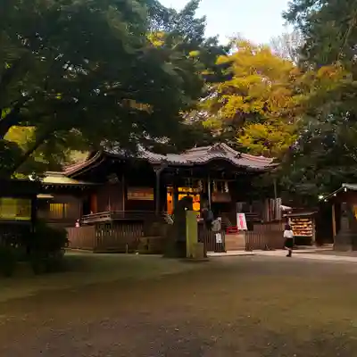 代々木八幡宮の本殿・本堂