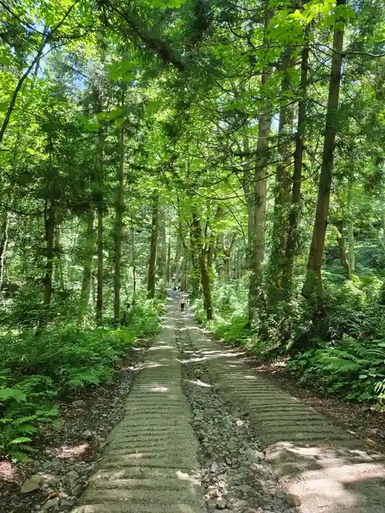 戸隠神社奥社(長野県)