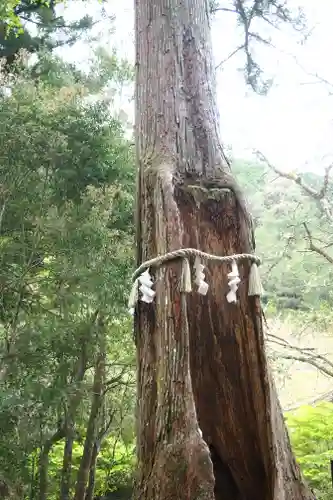 丹生川上神社（中社）(奈良県)