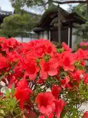 慈照寺（慈照禅寺・銀閣寺）(京都府)