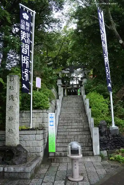 多摩川浅間神社(東京都)