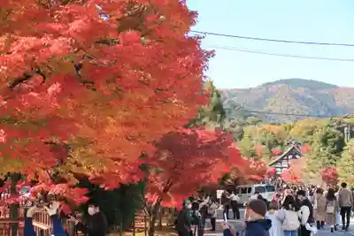 天龍寺(京都府)