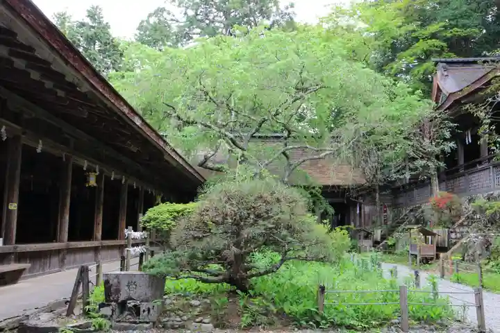 吉野水分神社(吉野町)の庭園