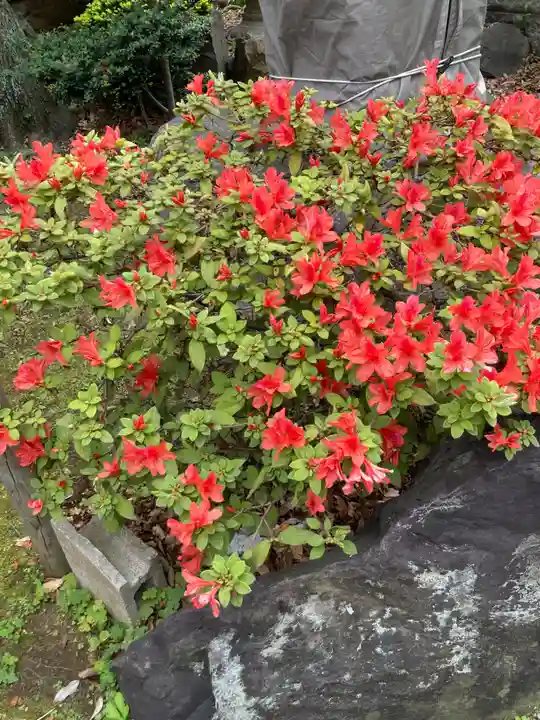 鳩森八幡神社(東京都)