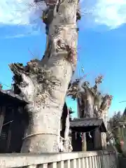 愛宕神社(茨城県)