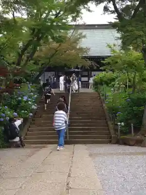 本土寺のその他建物