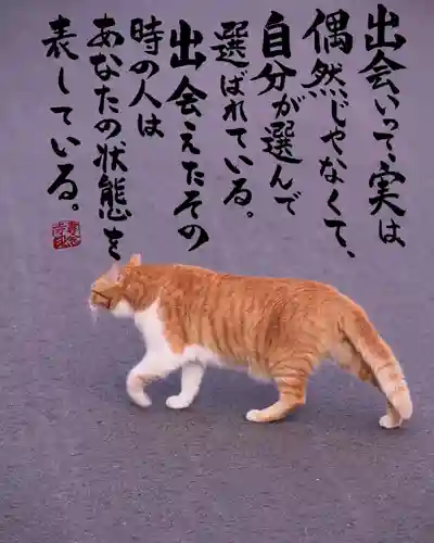 専念寺(大阪府)