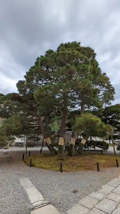 三宝院(三宝院門跡)(京都府)