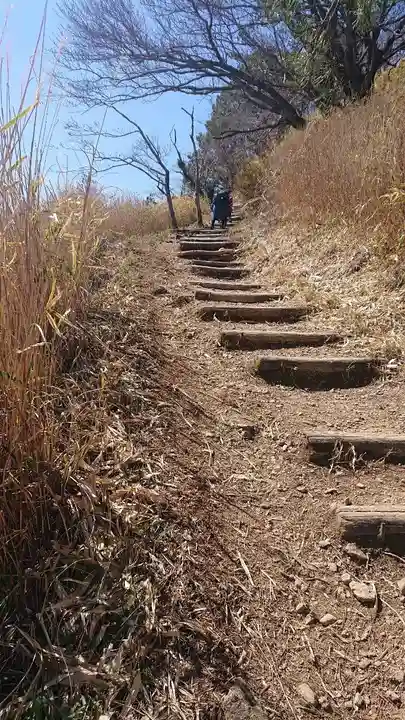 阿波々神社の自然