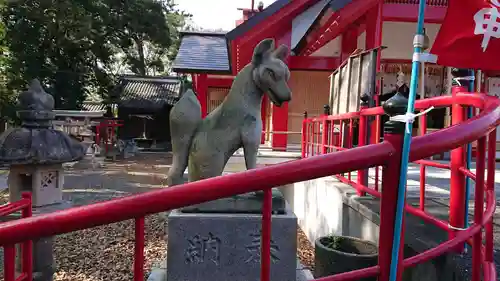 美濃輪稲荷神社の狛犬