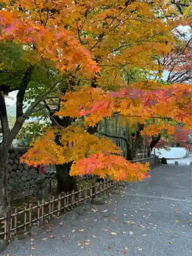 修禅寺(静岡県)