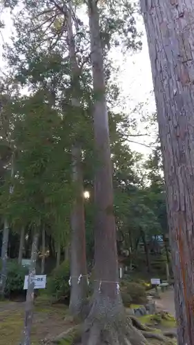 小野神社の建物その他