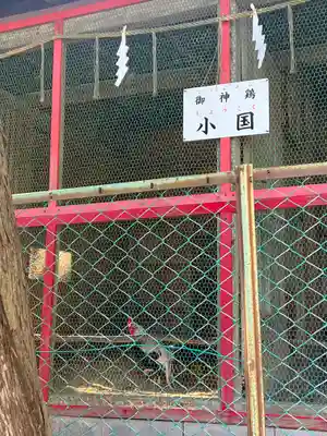 伊古奈比咩命神社(静岡県)