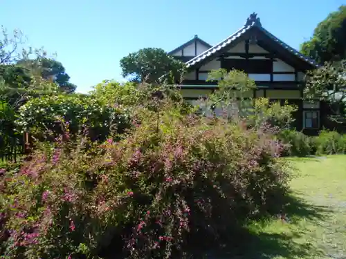 浄光明寺の庭園