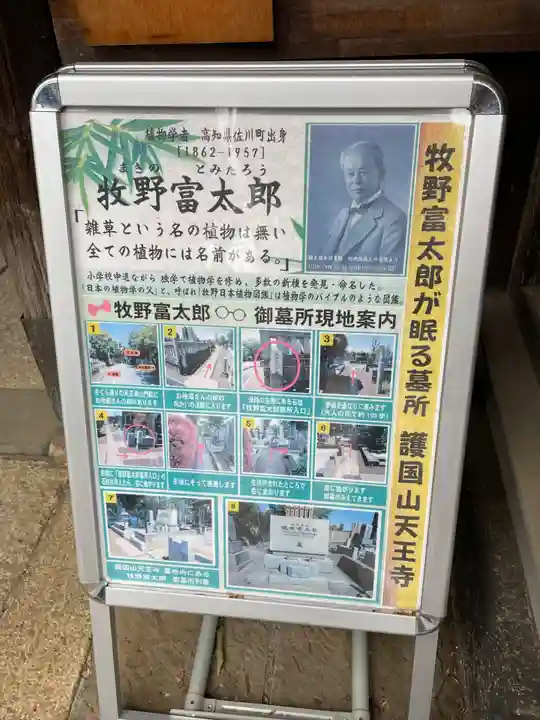 天王寺(東京都)