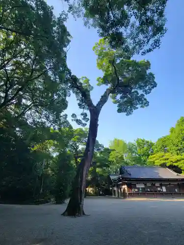 八剣宮（熱田神宮別宮）の自然