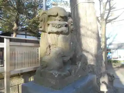 亀岡八幡宮（亀岡八幡神社）の狛犬