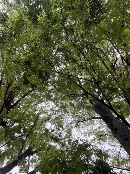 前川神社(埼玉県)