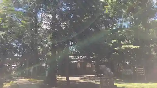 蛟蝄神社奥の宮(茨城県)