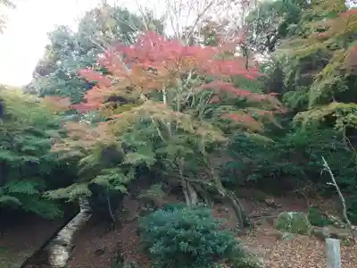 厳島神社(広島県)
