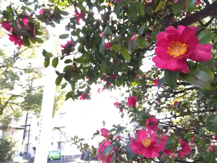 福井県護国神社(福井県)