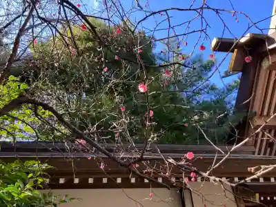船橋神明神社の{uncategorized: "未分類", other: "その他", undefined: "問題あり", building: "その他建物", grave: "お墓", sacred_gate: "鳥居", guardian: "狛犬", statue: "像", buddha: "仏像", history: "歴史", nature: "自然", garden: "庭園", animal: "動物", pagoda: "塔", temizu: "手水舎", mountain_gate: "山門・神門", sanctuary: "本殿・本堂", subordinate: "末社・摂社", art: "芸術", scenery: "景色", jizo: "地蔵", ema: "絵馬", goshuin: "御朱印", omikuji: "おみくじ", items: "授与品その他", amulet: "お守り", goshuincho: "御朱印帳", eats: "食事", festival: "お祭り", votive_dance: "神楽", shichigosan: "七五三参", wedding: "結婚式", experience: "体験その他", initially: "初詣", around: "周辺", anti_infection: "感染症対策"}