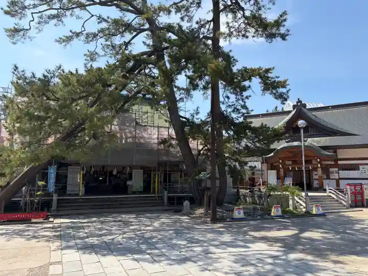 白山神社の{uncategorized: "未分類", other: "その他", undefined: "問題あり", building: "その他建物", grave: "お墓", sacred_gate: "鳥居", guardian: "狛犬", statue: "像", buddha: "仏像", history: "歴史", nature: "自然", garden: "庭園", animal: "動物", pagoda: "塔", temizu: "手水舎", mountain_gate: "山門・神門", sanctuary: "本殿・本堂", subordinate: "末社・摂社", art: "芸術", scenery: "景色", jizo: "地蔵", ema: "絵馬", goshuin: "御朱印", omikuji: "おみくじ", items: "授与品その他", amulet: "お守り", goshuincho: "御朱印帳", eats: "食事", festival: "お祭り", votive_dance: "神楽", shichigosan: "七五三参", wedding: "結婚式", experience: "体験その他", initially: "初詣", around: "周辺", anti_infection: "感染症対策"}