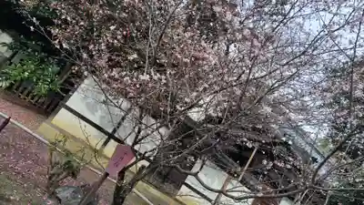 平野神社(京都府)